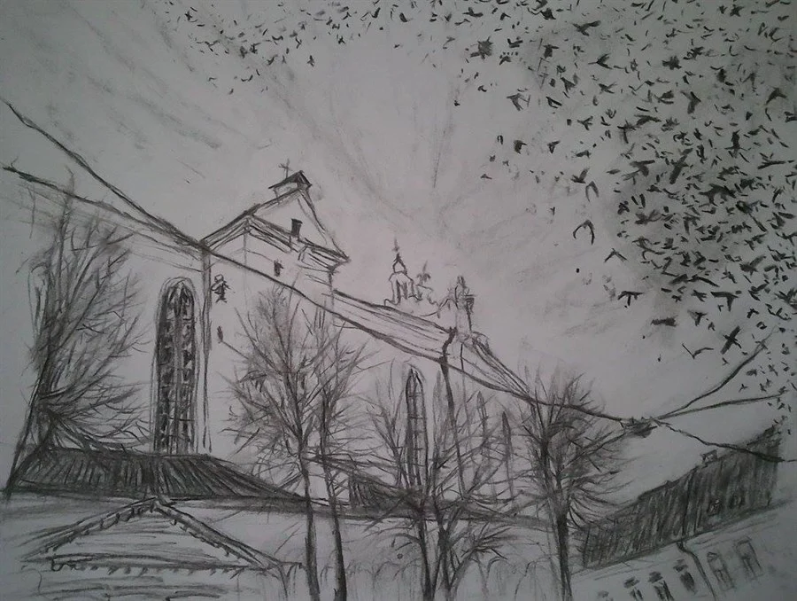 «VILNIUS, THE BIRDS» (charcoal, paper, 29,5х21 cm).