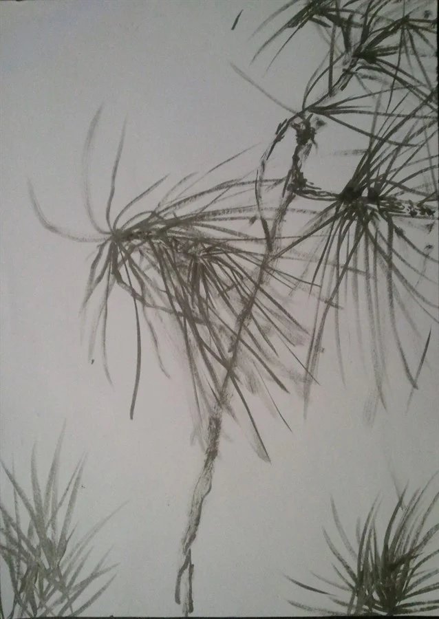Branch of pine (gray japanese ink)