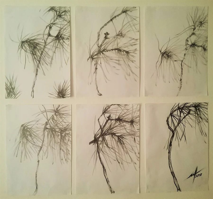 Branch of pine (gray japanese ink, paper 58х67 sm)